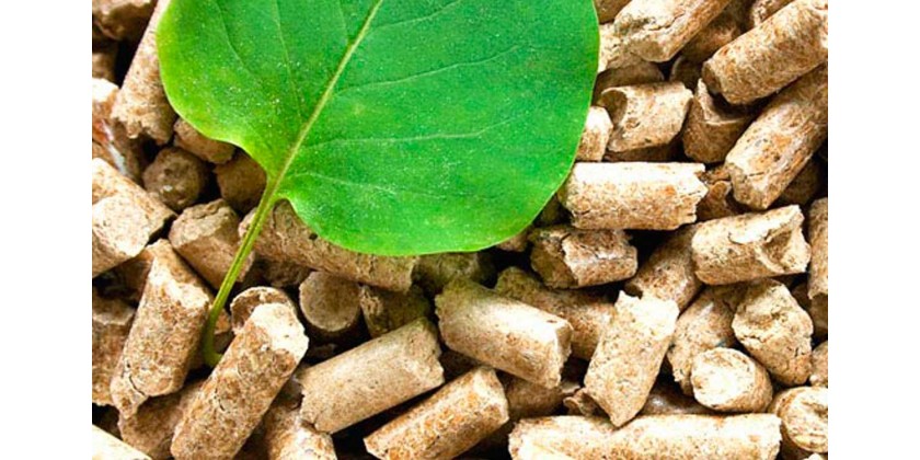 Energías Renovables: La Biomasa